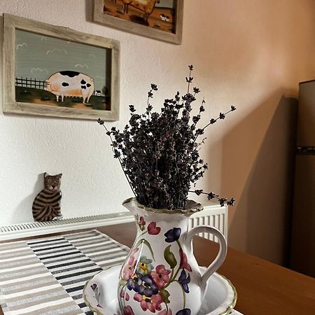 Olympus Country House Karia  エクステリア 写真