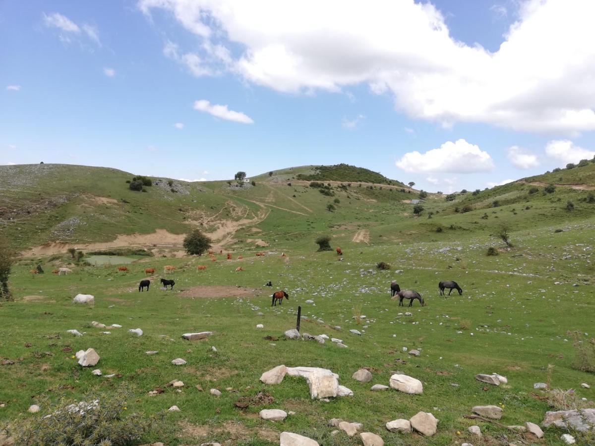 Olympus Country House Karia  エクステリア 写真