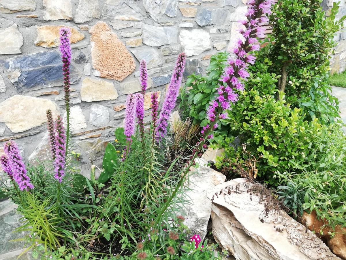 Olympus Country House Karia  エクステリア 写真
